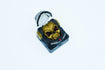 Hot Keys Project HKP Astronskull Black Gold Artisan Keycap MKUF86LVNC |0|