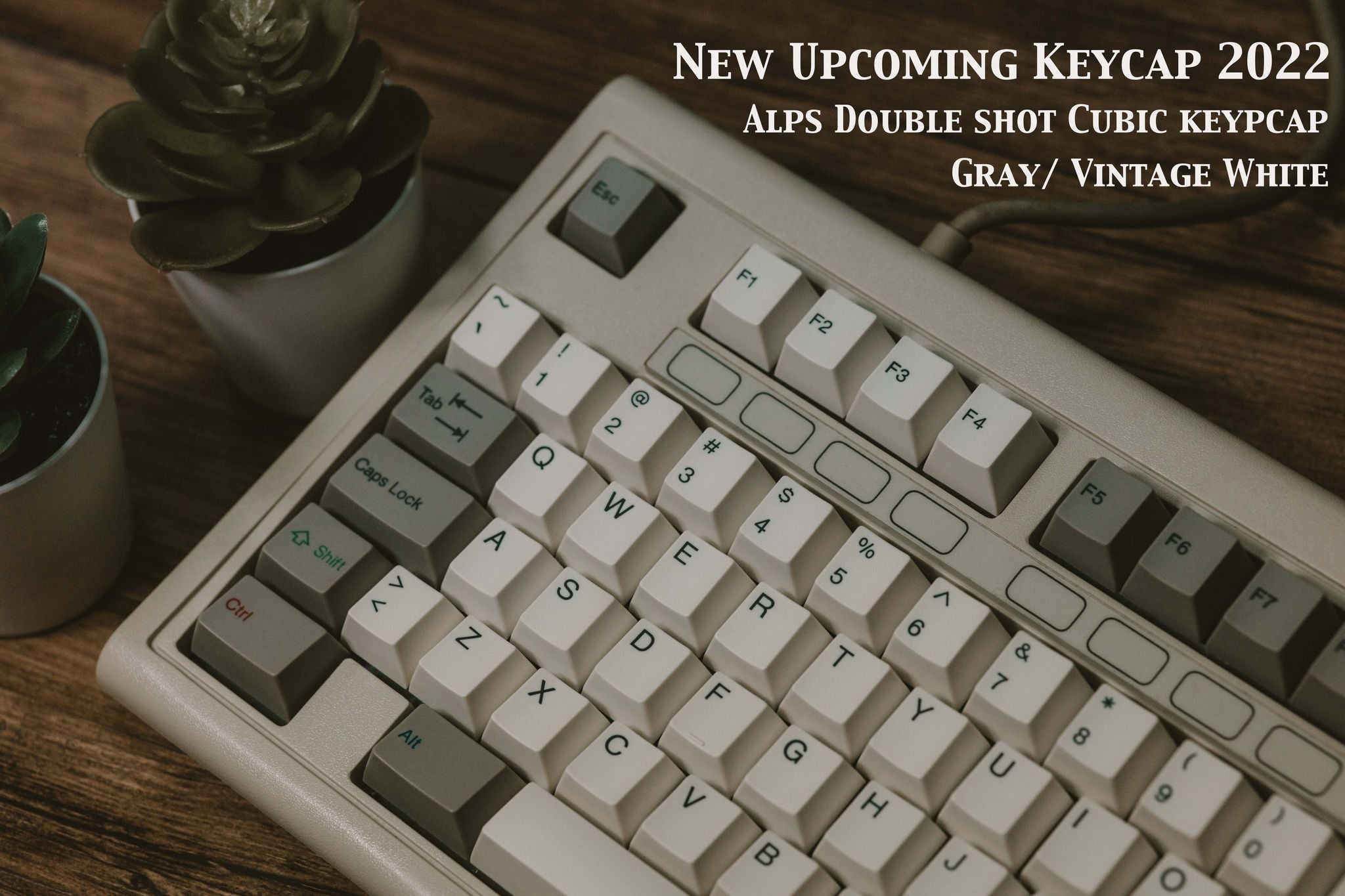 Tai-Hao 138 Key ALPS Cubic ABS Double Shot Backlit Keycap Set Vintage White / Grey MK6W90T1VP |31962|
