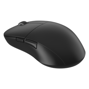 Endgame Gear XM2we Wireless Mouse