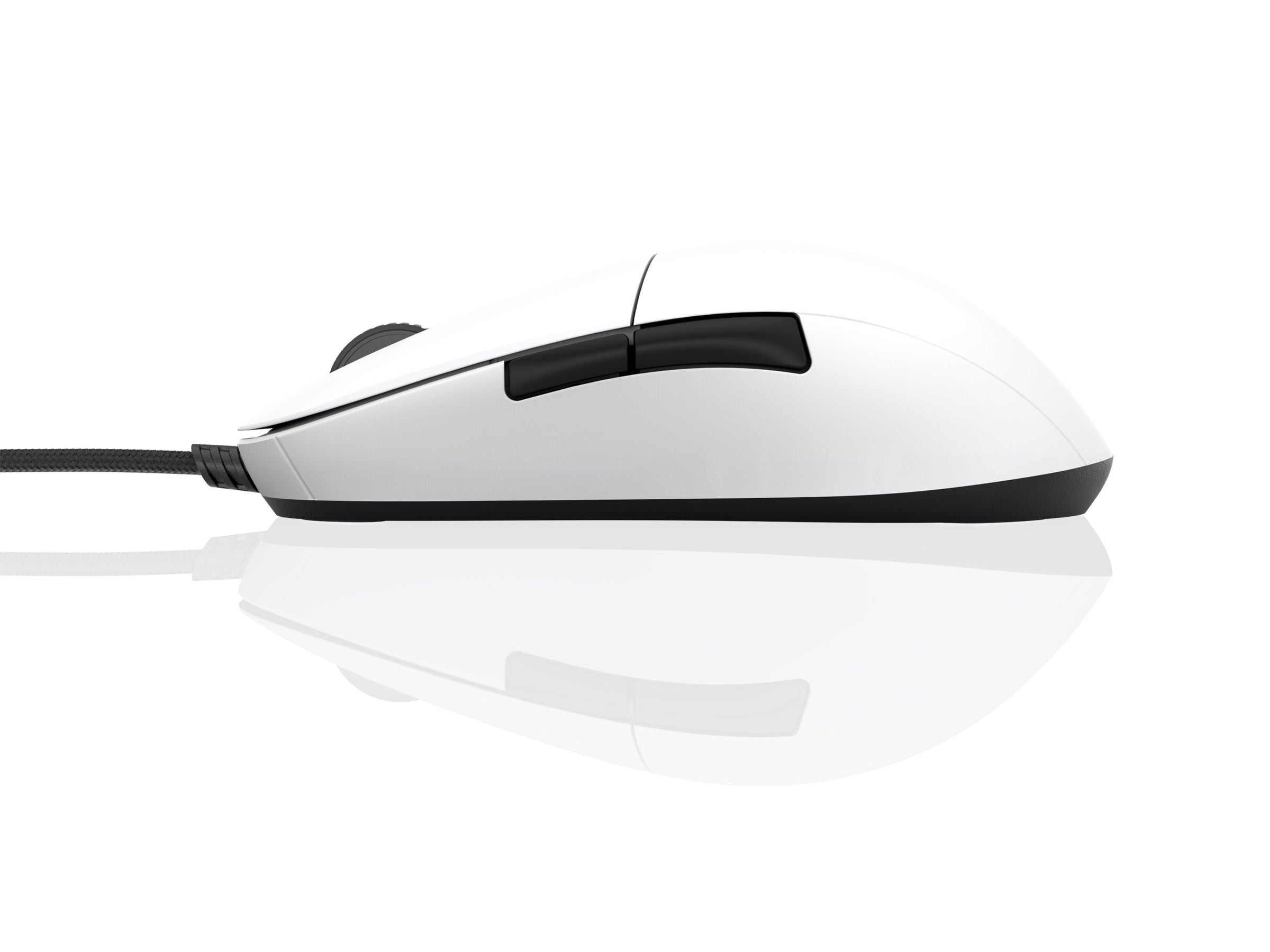 Endgame Gear XM1r Wired Mouse