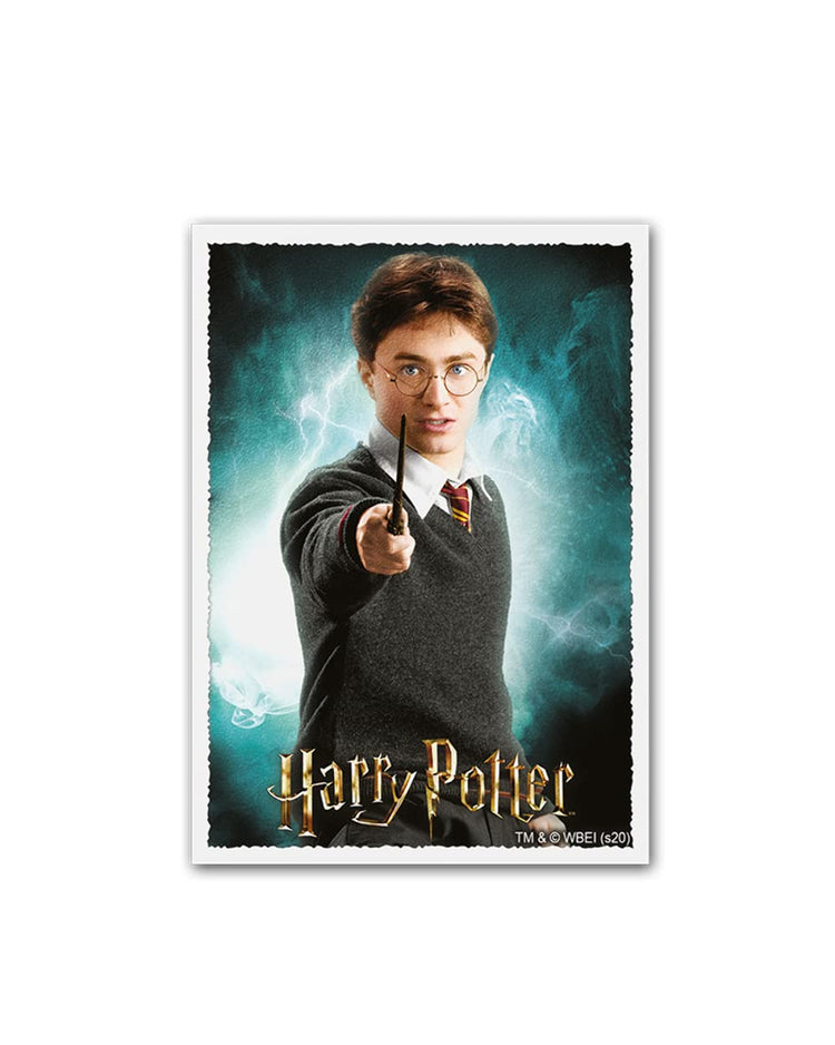Dragon Shield Sleeves: Art: Matte - Harry Potter (100) Dragon Shield Sleeves: Art: Matte - Harry Potter (100)