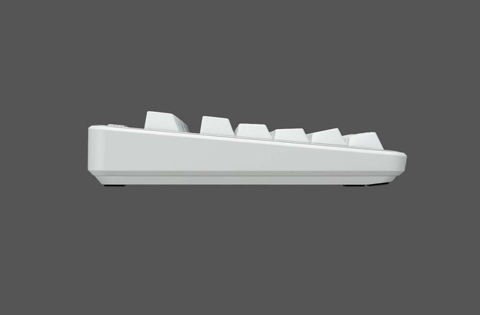 Topre Realforce R3 Mac Wireless Keyboard