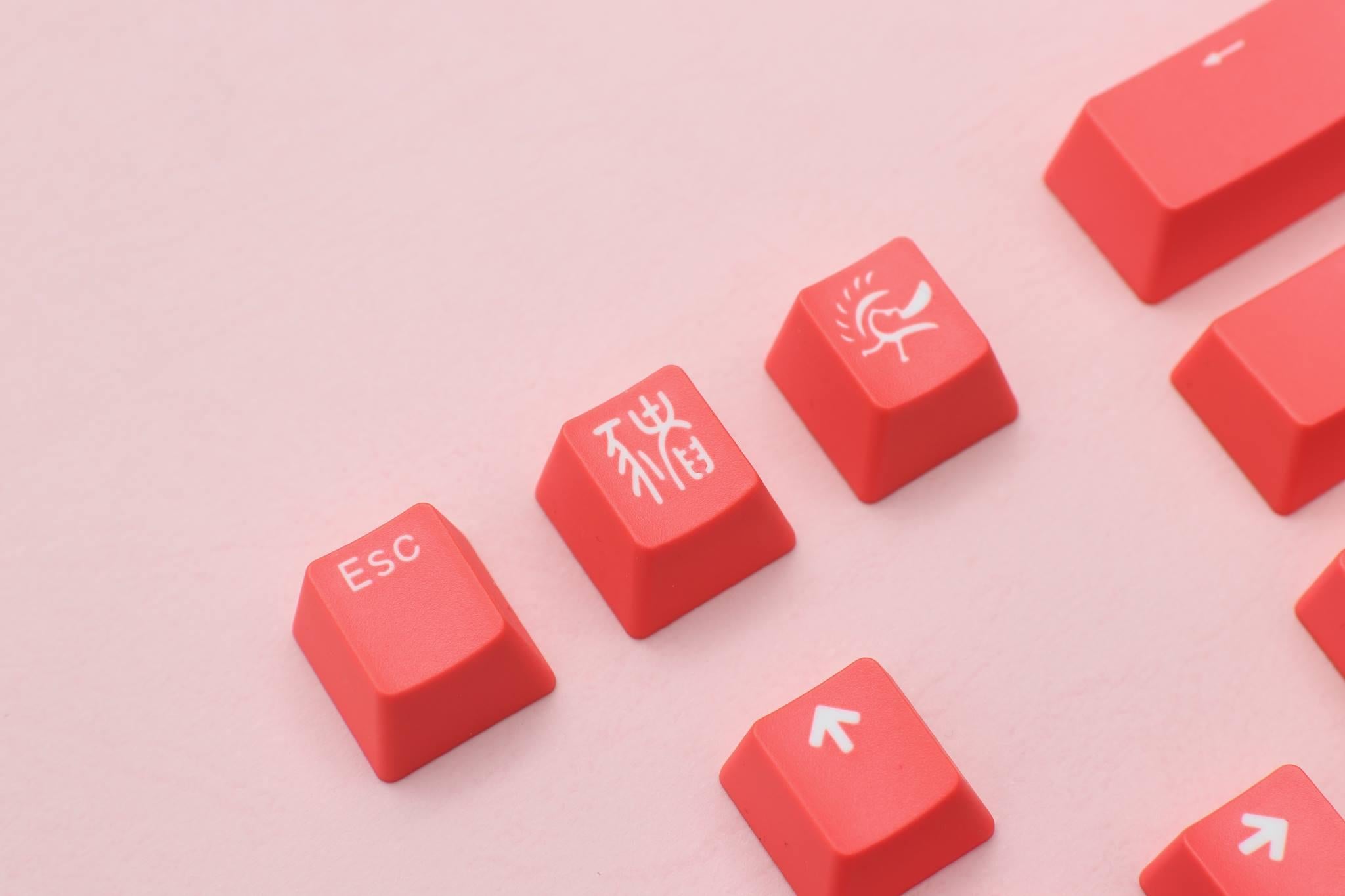 Ducky 11 Key PBT Double Shot Color Keycap Set Living Coral MKC5MS2ZGL |38574|