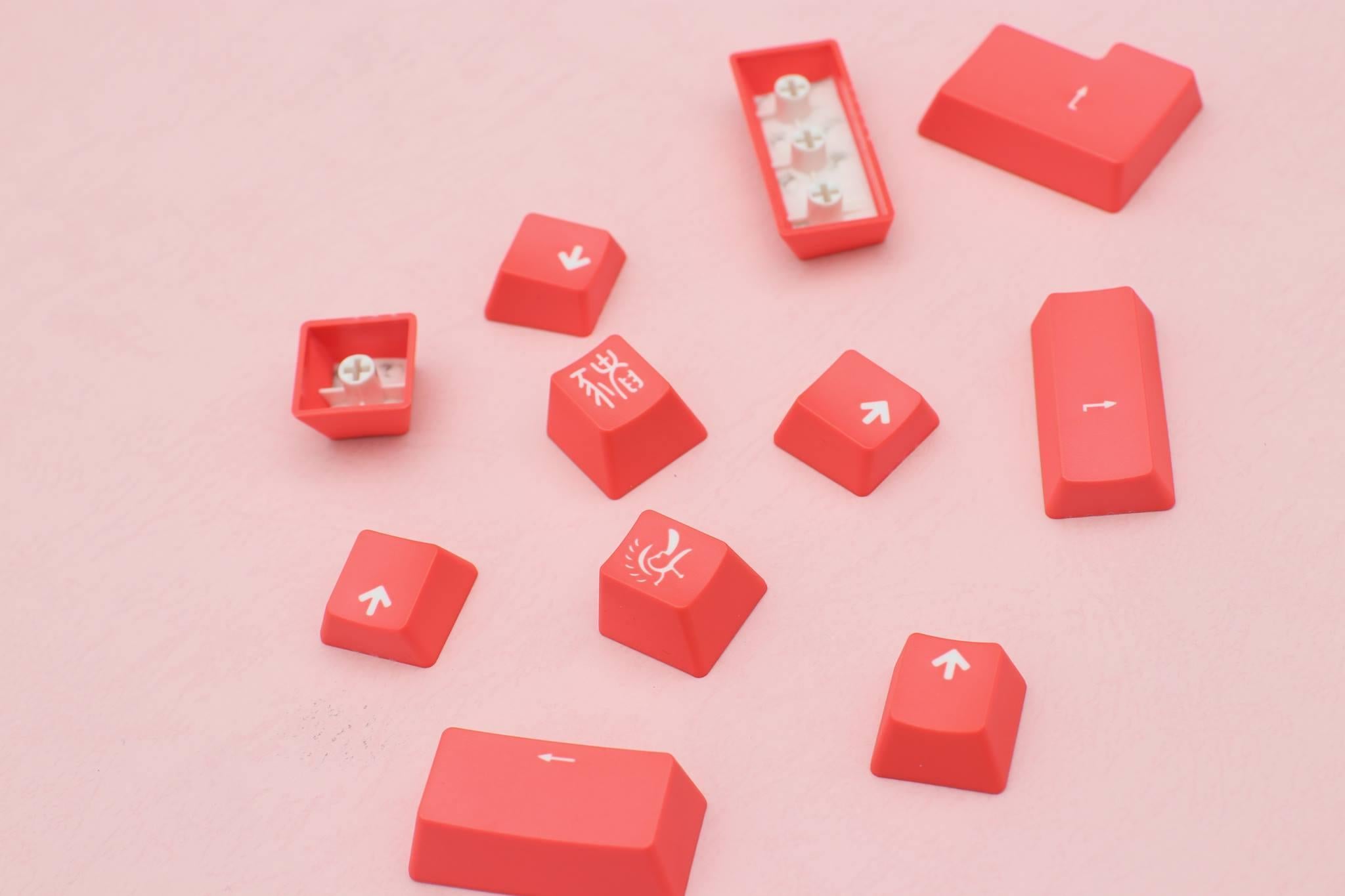 Ducky 11 Key PBT Double Shot Color Keycap Set Living Coral MKC5MS2ZGL |38575|