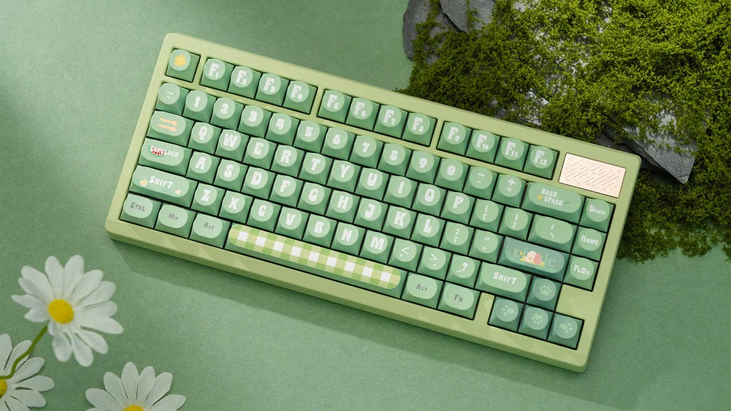 Chilkey Summer Picnic 170 Key DDA Profile Dye Sub PBT Keycap Set MK9MJDTFAW |72650|