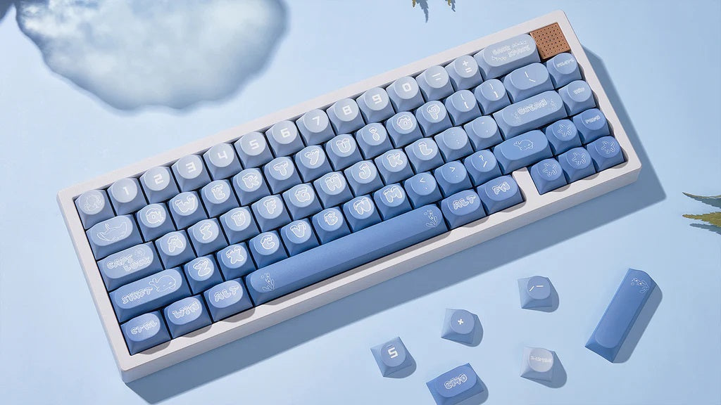 Chilkey Ocean Party 170 Key DDA Profile Dye Sub PBT Keycap Set MKO2K0M70I |72703|