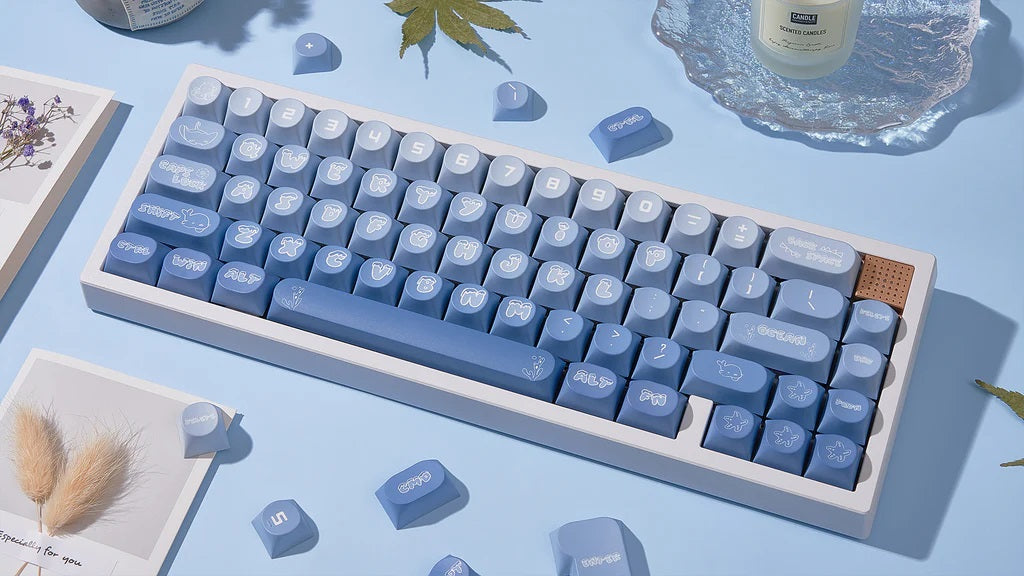 Chilkey Ocean Party 170 Key DDA Profile Dye Sub PBT Keycap Set MKO2K0M70I |72704|