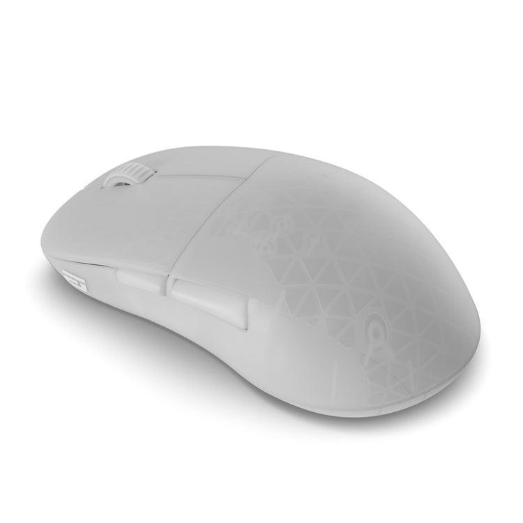 endgame gear xm2w wireless Endgame Gear XM2w 4K V2 Wireless Mouse White Frost