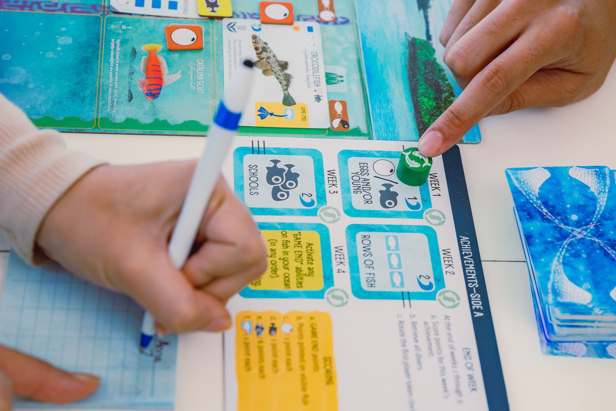 Finspan Board Game MK87M3JHQ7 |77233|