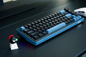 Ducky OK-M 65 65% Hotswap Wireless RGB Keyboard MKRMY272IA |77921|