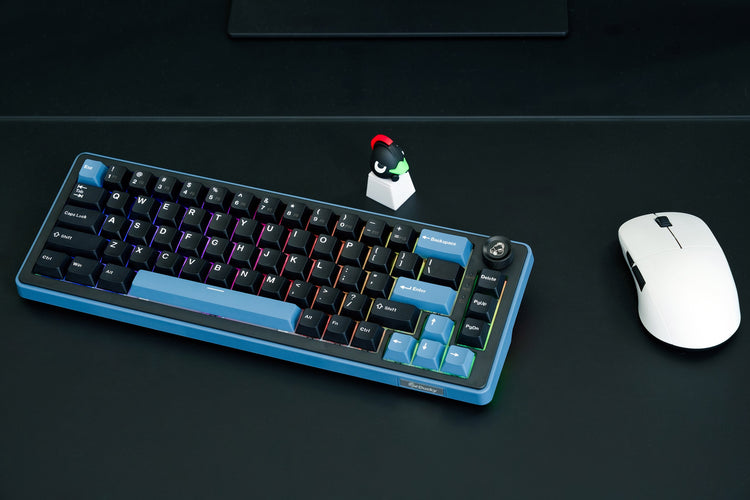 Ducky OK-M 65 65% Hotswap Wireless RGB Keyboard MKRMY272IA |77923|