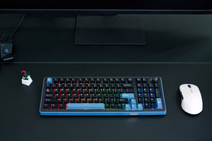Ducky OK-M 98 * Hotswap Wireless RGB Keyboard MKEURRU3QE |77859|