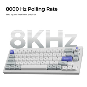 Keychron Q2 HE 8K Aluminum 65% Hotswap RGB Keyboard MKG4Q0GT22 |77721|