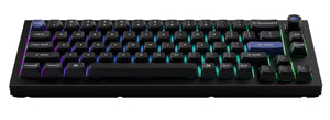 Keychron Q2 HE 8K Aluminum 65% Hotswap RGB Keyboard MKG4Q0GT22 |0|