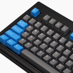Tai-Hao Alps 124 Key OEM Profile ABS Keycaps – Mechanical Keyboards