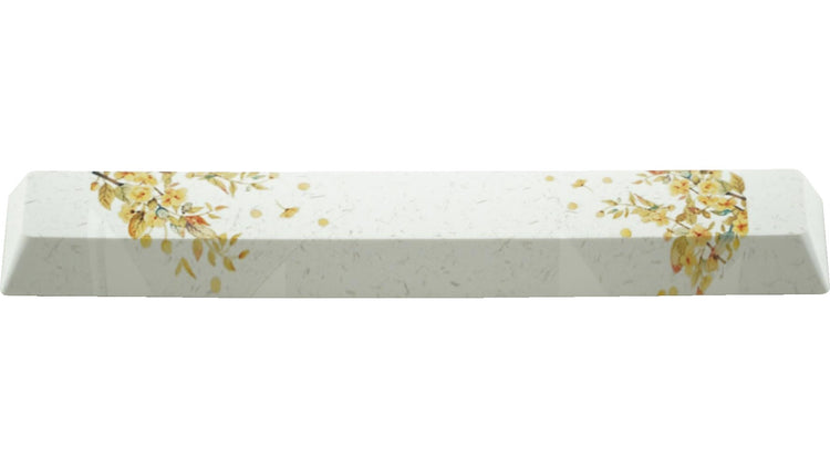 KBParadise PBT Dye Sublimated Spacebar 27 MKIU2IH09S |0|