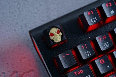 Hot Keys Project HKP Skull Face Darkness Artisan Keycap MKSUYY8G4K |39245|