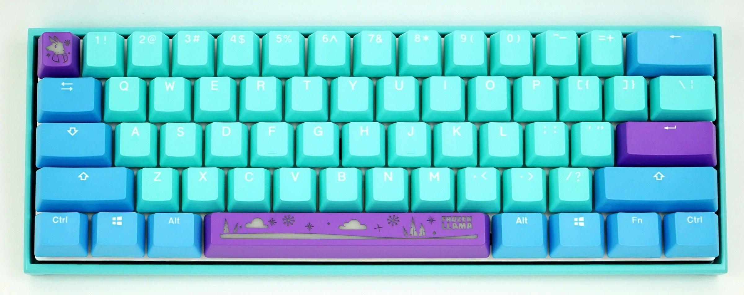 Ducky x MK Frozen Llama Mecha Mini v2 RGB LED 60% Double Shot PBT  Mechanical Keyboard