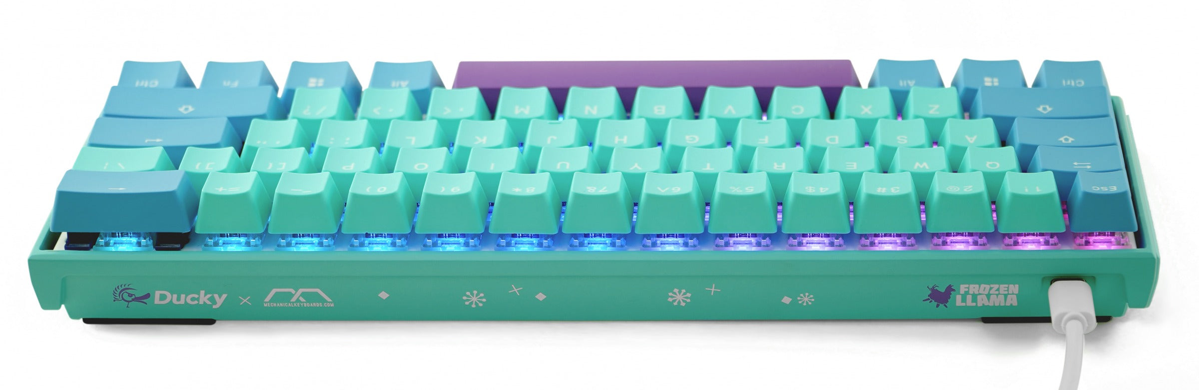 Ducky x MK Frozen Llama Mecha Mini v2 RGB LED 60% Double Shot PBT  Mechanical Keyboard