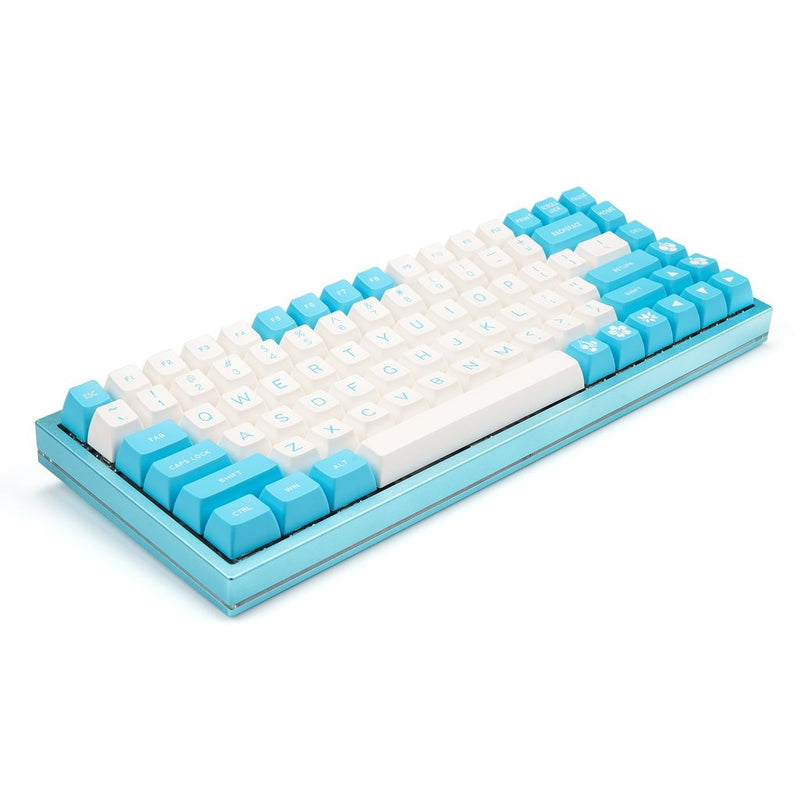 Keys Sa Computer Maxkey Cyan 130 Key SA Profile Double Shot ABS Keycap Set