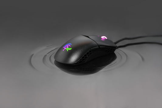 Duckduckgo Mouse Ducky Mice